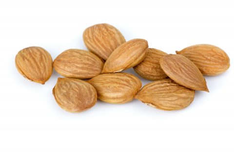 Apricot kernels