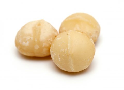 Macadamia